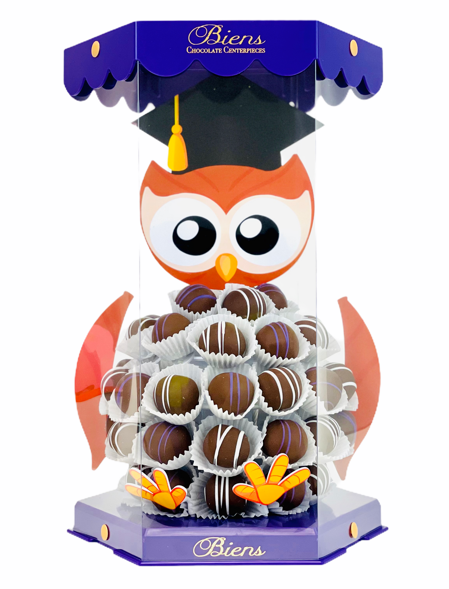Graduation Bien Buddy- Owl - The Dessert Ladies
