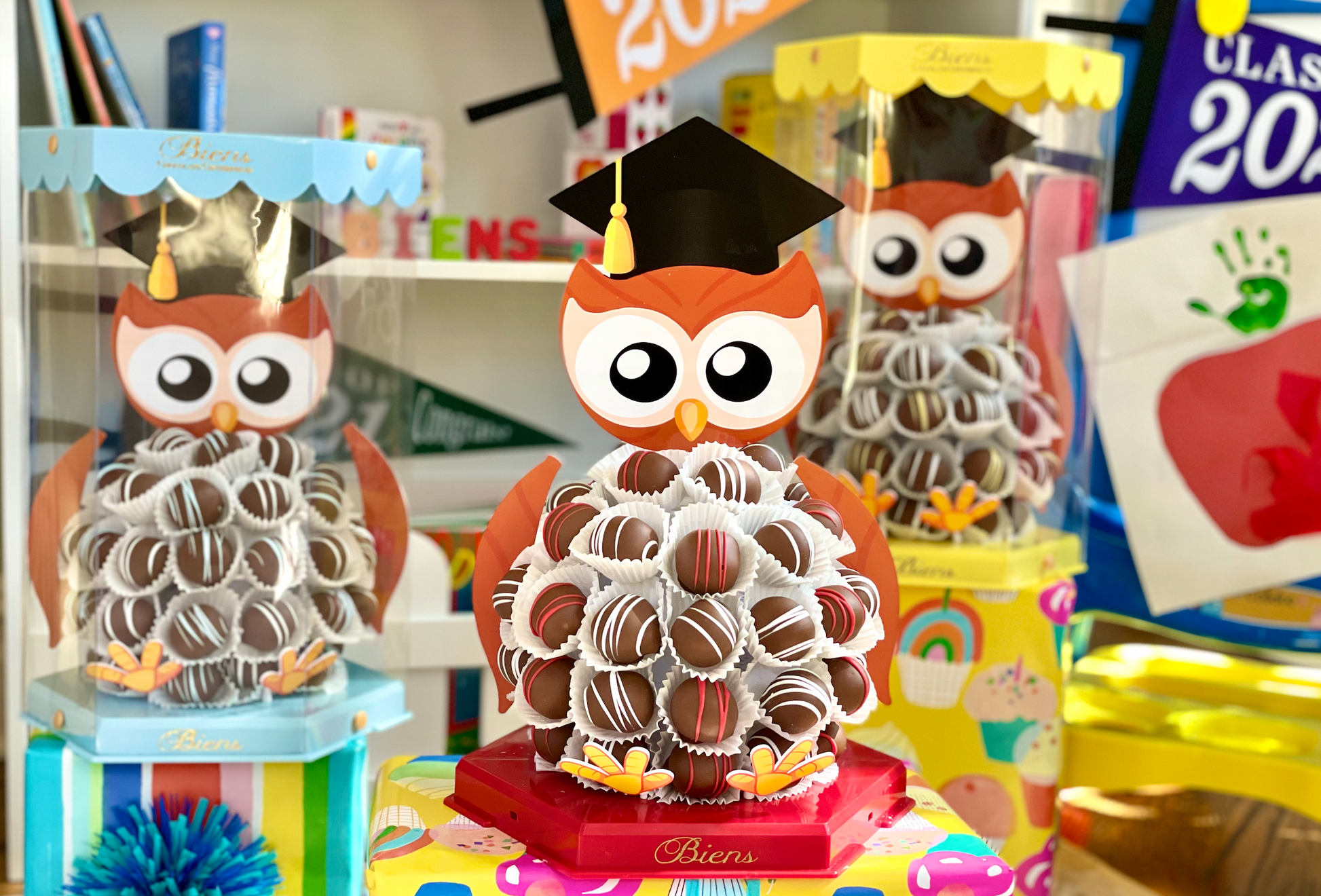 Graduation Bien Buddy- Owl - The Dessert Ladies